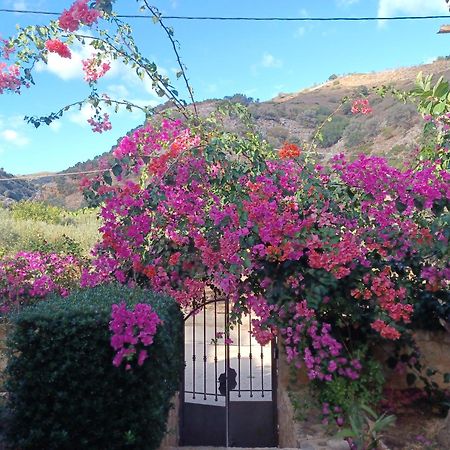 Heraklion Comfy House With Mountain View Dış mekan fotoğraf