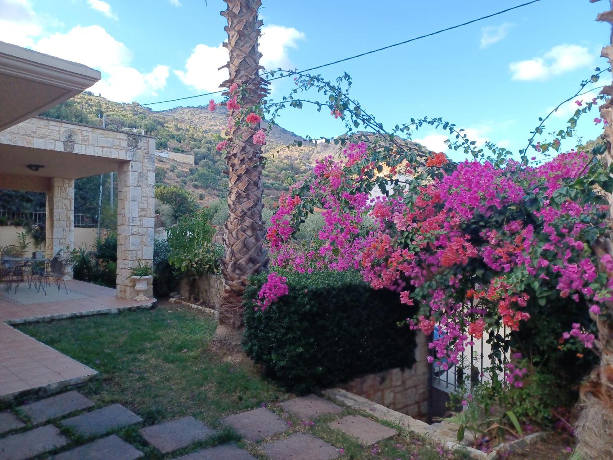Heraklion Comfy House With Mountain View Dış mekan fotoğraf